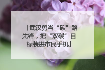 武汉勇当“碳”路先锋，把“双碳”目标装进市民手机