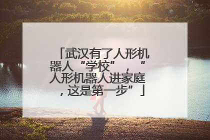 武汉有了人形机器人“学校”，“人形机器人进家庭，这是第一步”