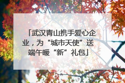 武汉青山携手爱心企业，为“城市天使”送端午暖“新”礼包
