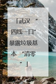 武汉 “四线一口”暴露垃圾基本 “清零”
