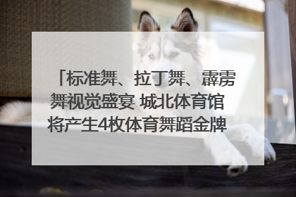 标准舞、拉丁舞、霹雳舞视觉盛宴 城北体育馆将产生4枚体育舞蹈金牌｜世运会探馆行
