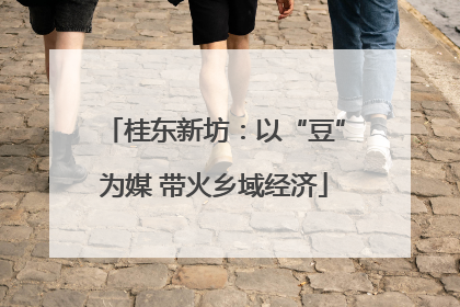 桂东新坊：以“豆”为媒 带火乡域经济