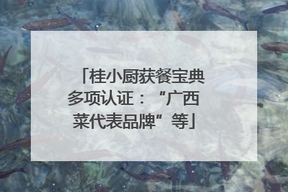 桂小厨获餐宝典多项认证：“广西菜代表品牌”等