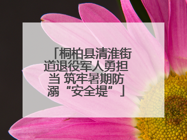 桐柏县清淮街道退役军人勇担当 筑牢暑期防溺“安全堤”