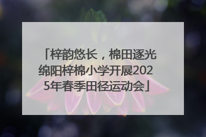 梓韵悠长，棉田逐光 绵阳梓棉小学开展2025年春季田径运动会