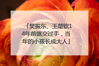 樊振东、王楚钦14年前就交过手，当年的小孩长成大人