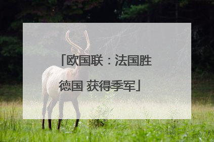 欧国联：法国胜德国 获得季军