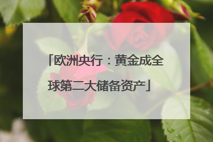 欧洲央行：黄金成全球第二大储备资产