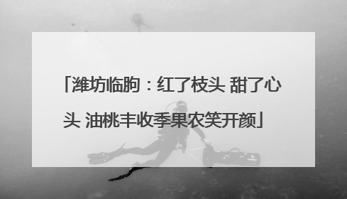 潍坊临朐：红了枝头 甜了心头 油桃丰收季果农笑开颜