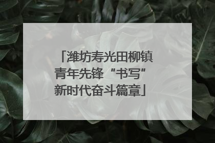 潍坊寿光田柳镇青年先锋“书写”新时代奋斗篇章