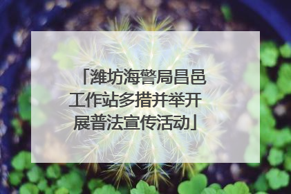 潍坊海警局昌邑工作站多措并举开展普法宣传活动