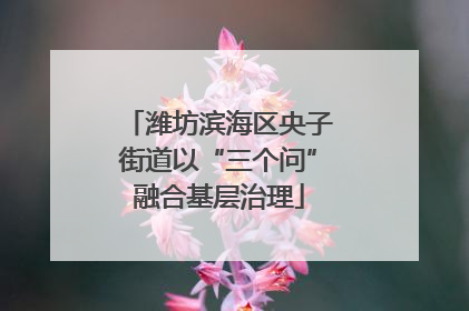 潍坊滨海区央子街道以“三个问”融合基层治理