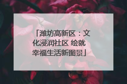 潍坊高新区：文化浸润社区 绘就幸福生活新图景