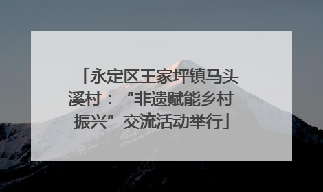 永定区王家坪镇马头溪村：“非遗赋能乡村振兴”交流活动举行