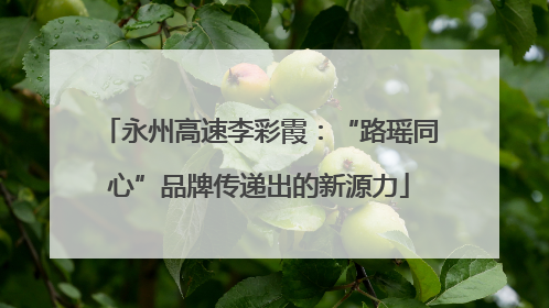 永州高速李彩霞：“路瑶同心”品牌传递出的新源力