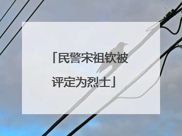 民警宋祖钦被评定为烈士