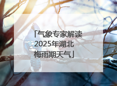 气象专家解读2025年湖北梅雨期天气