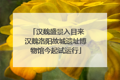 汉魏盛景入目来 汉魏洛阳故城遗址博物馆今起试运行
