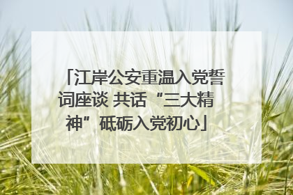 江岸公安重温入党誓词座谈 共话“三大精神”砥砺入党初心