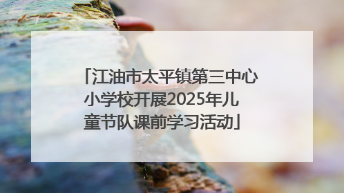 江油市太平镇第三中心小学校开展2025年儿童节队课前学习活动