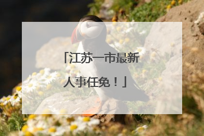 江苏一市最新人事任免！