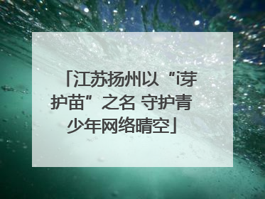 江苏扬州以“i芽护苗”之名 守护青少年网络晴空