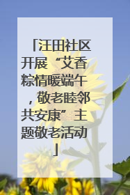 汪田社区开展“艾香粽情暖端午，敬老睦邻共安康”主题敬老活动