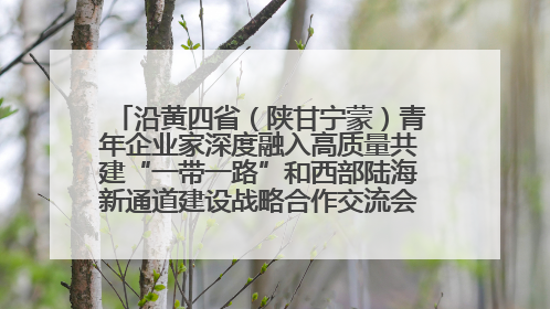 沿黄四省（陕甘宁蒙）青年企业家深度融入高质量共建“一带一路”和西部陆海新通道建设战略合作交流会在甘肃兰州召开