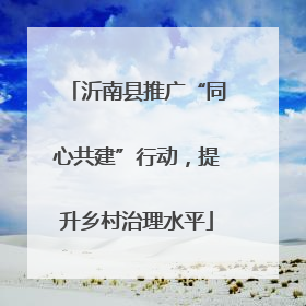 沂南县推广“同心共建”行动，提升乡村治理水平
