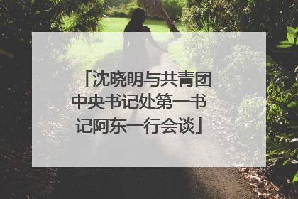 沈晓明与共青团中央书记处第一书记阿东一行会谈