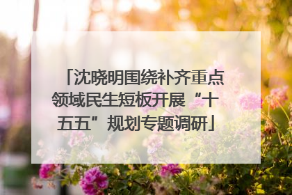 沈晓明围绕补齐重点领域民生短板开展“十五五”规划专题调研