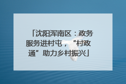 沈阳浑南区：政务服务进村屯，“村政通”助力乡村振兴
