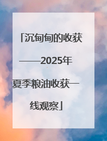 沉甸甸的收获——2025年夏季粮油收获一线观察
