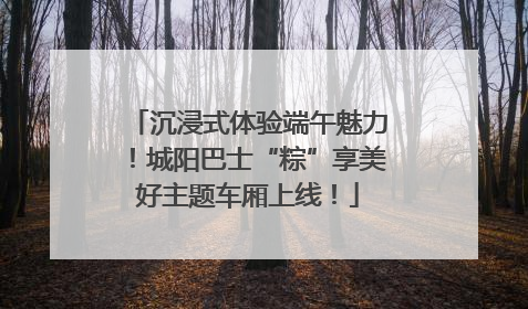 沉浸式体验端午魅力！城阳巴士“粽”享美好主题车厢上线！