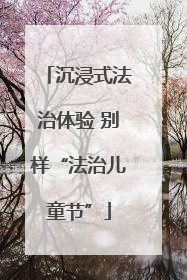 沉浸式法治体验 别样“法治儿童节”