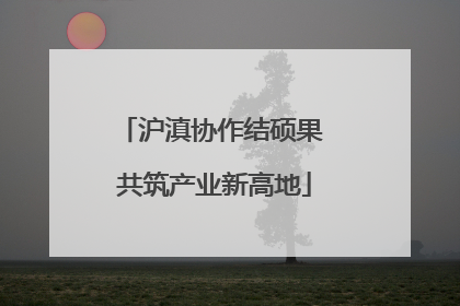 沪滇协作结硕果 共筑产业新高地