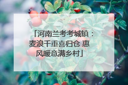 河南兰考考城镇：麦浪千重喜归仓 惠风暖意满乡村
