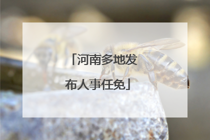 河南多地发布人事任免