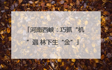 河南西峡：巧抓“机”遇 林下生“金”