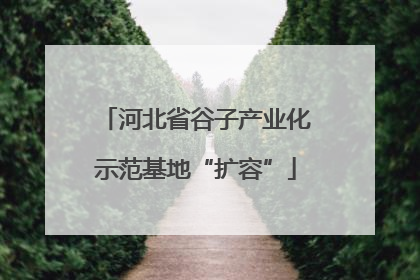 河北省谷子产业化示范基地“扩容”