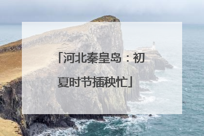 河北秦皇岛：初夏时节插秧忙