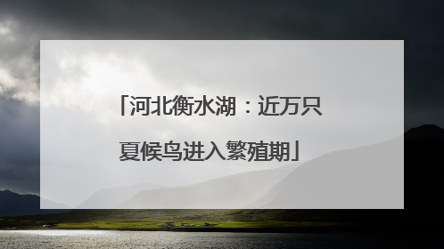 河北衡水湖：近万只夏候鸟进入繁殖期