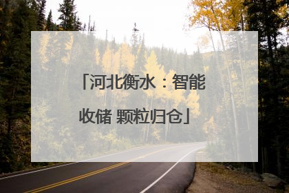 河北衡水：智能收储 颗粒归仓