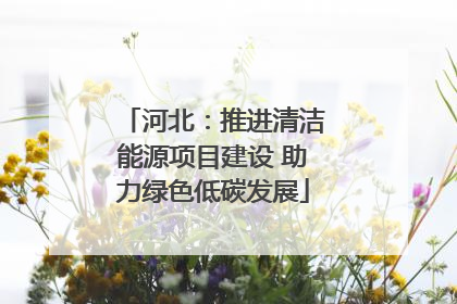 河北：推进清洁能源项目建设 助力绿色低碳发展