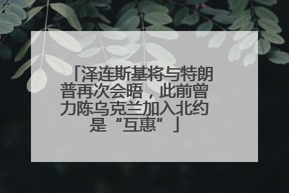 泽连斯基将与特朗普再次会晤，此前曾力陈乌克兰加入北约是“互惠”