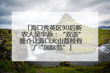 海口秀英区90后新农人吴宇燕：“双语”推介让海口火山荔枝有了“国际范”