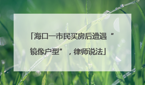 海口一市民买房后遭遇“镜像户型”，律师说法