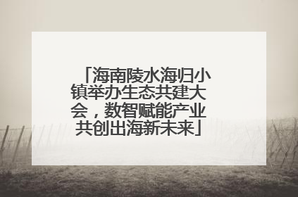 海南陵水海归小镇举办生态共建大会，数智赋能产业共创出海新未来