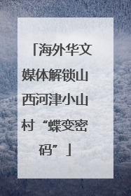 海外华文媒体解锁山西河津小山村“蝶变密码”