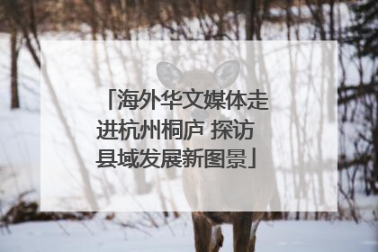海外华文媒体走进杭州桐庐 探访县域发展新图景